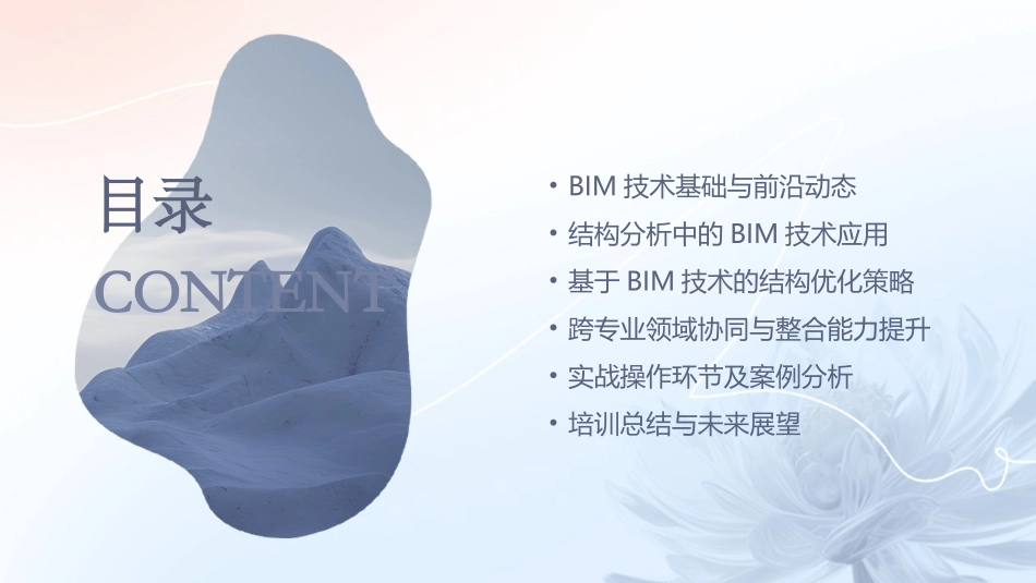 2024年BIM技术在结构分析与优化中的应用培训_第2页