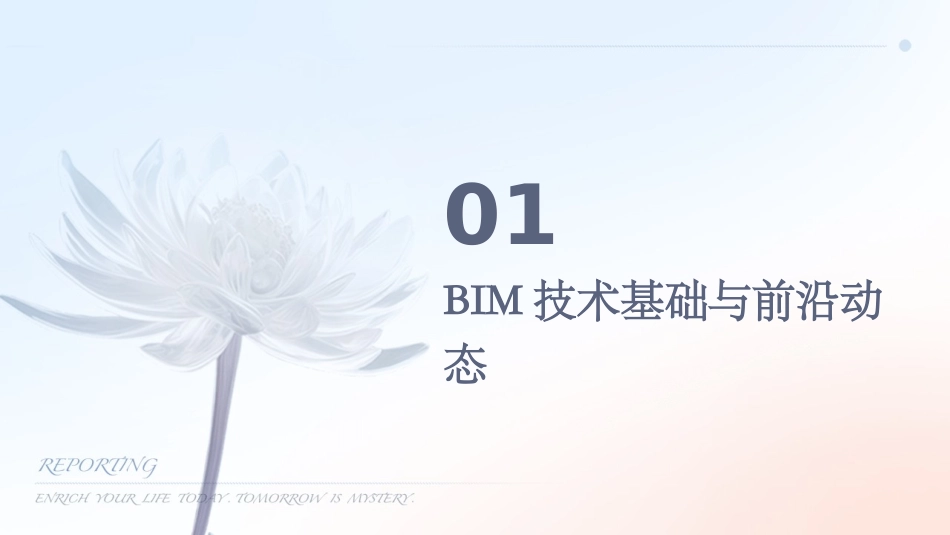 2024年BIM技术在结构分析与优化中的应用培训_第3页