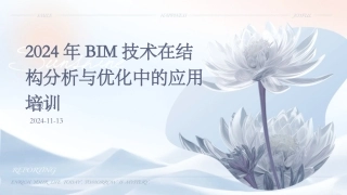 2024年BIM技术在结构分析与优化中的应用培训