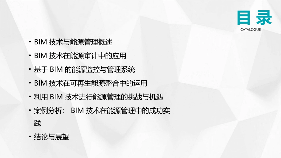 2024年BIM技术在能源管理中的应用_第2页