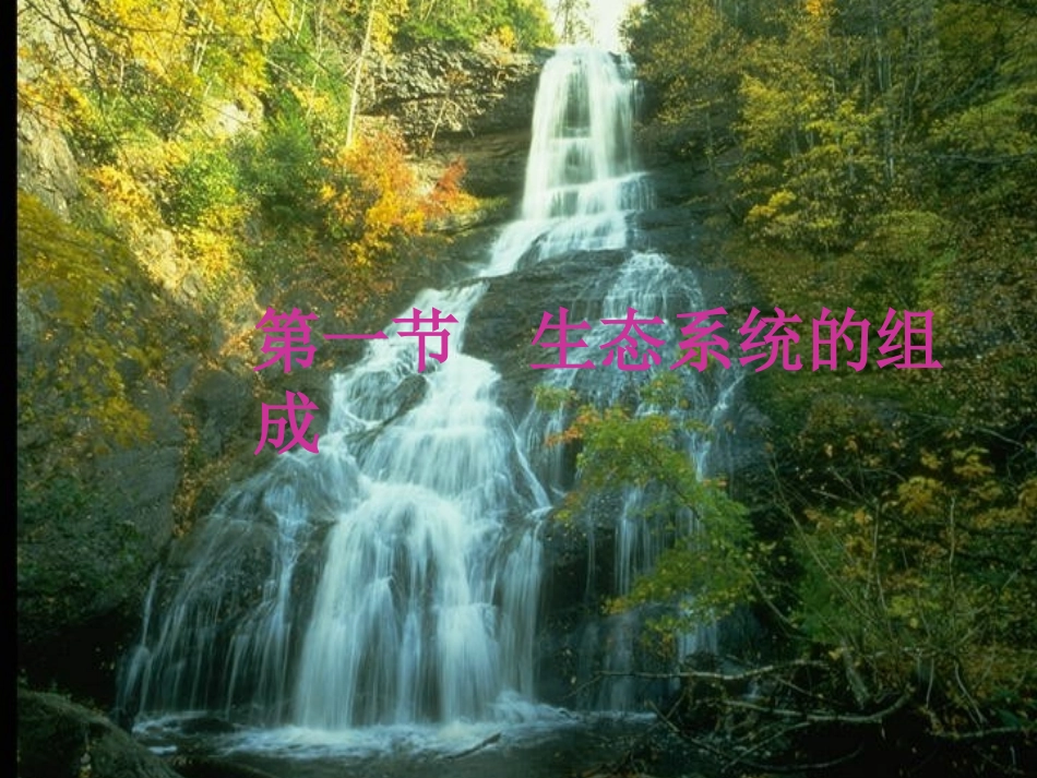 生态系统的组成_第2页