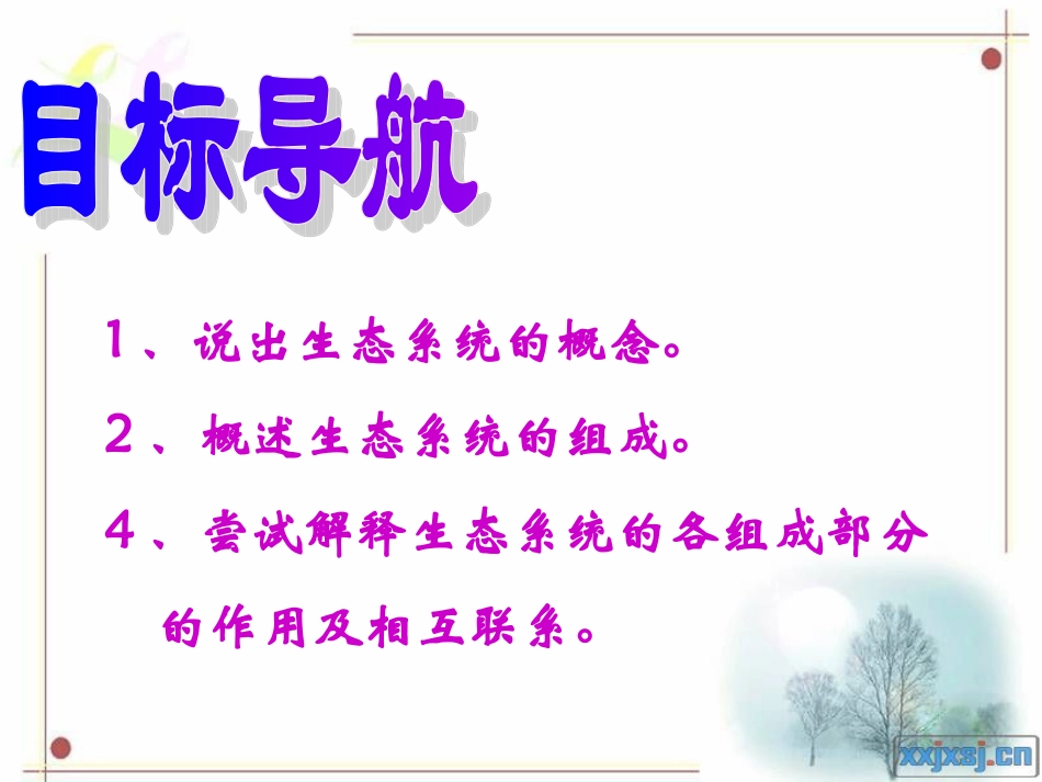 生态系统的组成_第3页