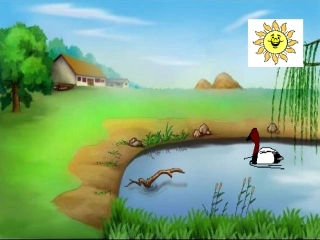 生态系统的组成