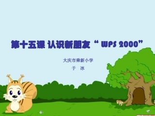 认识新朋友“WPS2000”