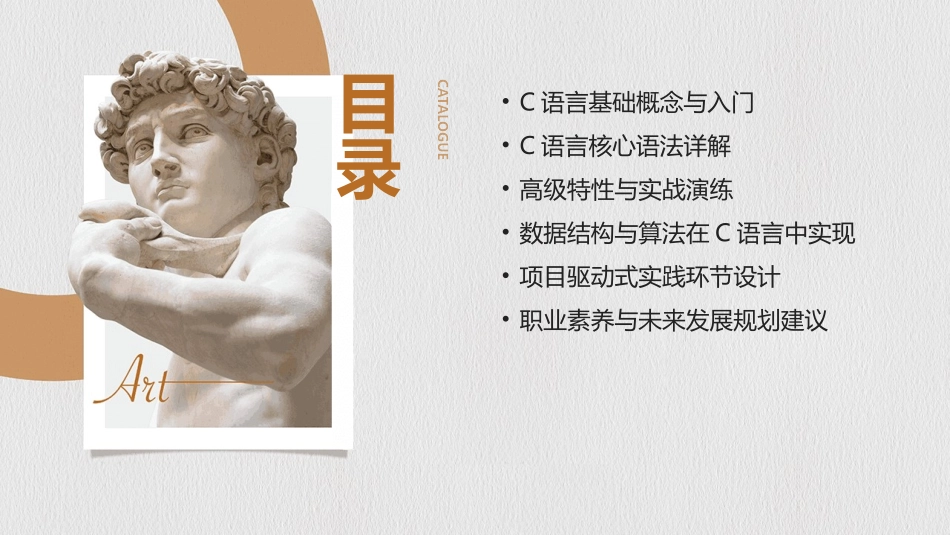 2024年C语言程序设计教案：从理论到实践_第2页