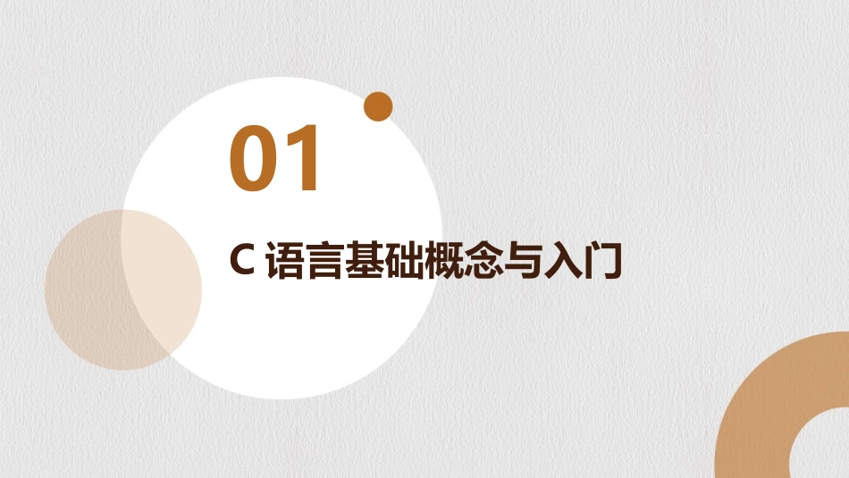 2024年C语言程序设计教案：从理论到实践_第3页