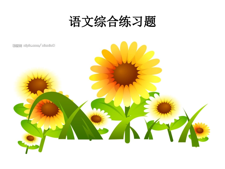 语文综合练习孙满昌_第1页