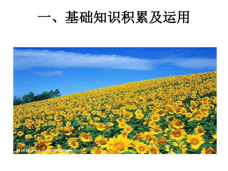 语文综合练习孙满昌_第2页