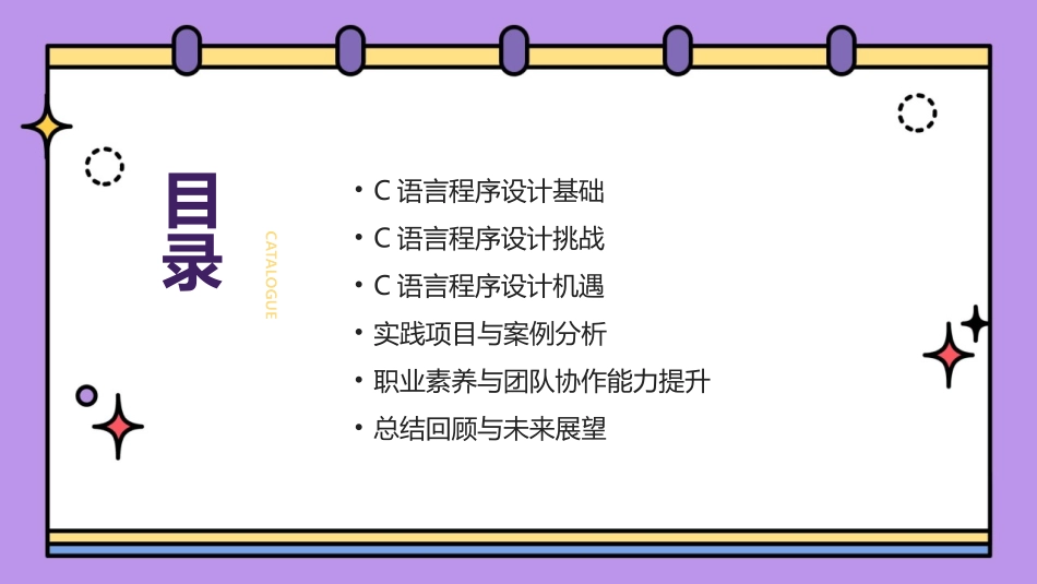 2024年C语言程序设计：挑战与机遇_第2页