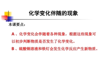 教科版小学科学六年级下册第二单元《化学变化伴随的现象》课件