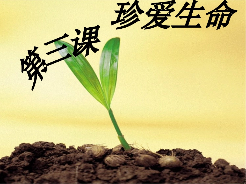 《世界因生命而精彩》课件_第1页