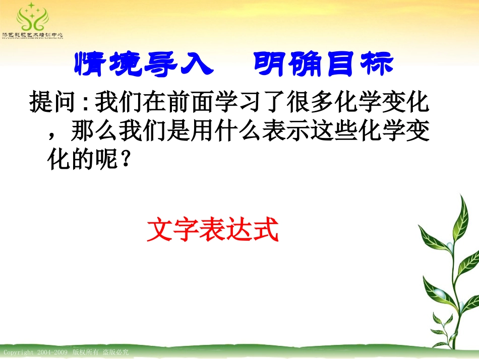 课题1_质量守恒定律（第三课时）_第2页