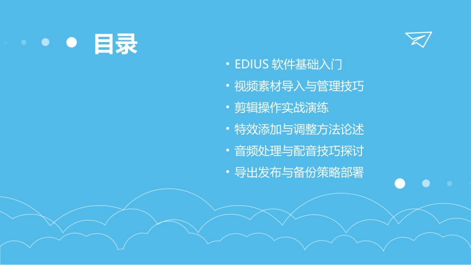 2024年edius操作手册：专业视频编辑技能培训_第2页