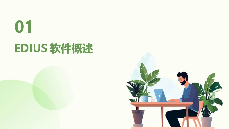 2024年EDIUS用户指南：从入门到精通_第3页