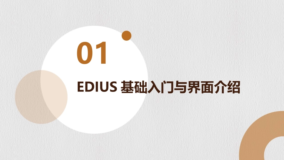 2024年EDIUS视频编辑新技巧与培训教程_第3页