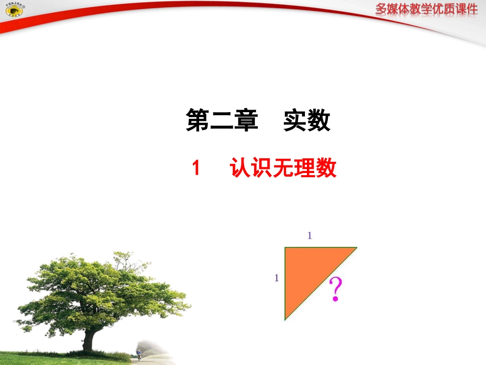 认识无理数课件_第1页