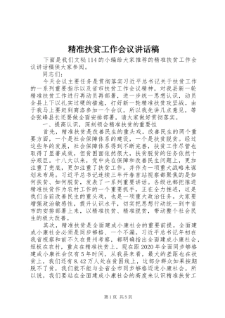 精准扶贫工作会议的讲话发言稿