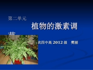 课件植物激素调节