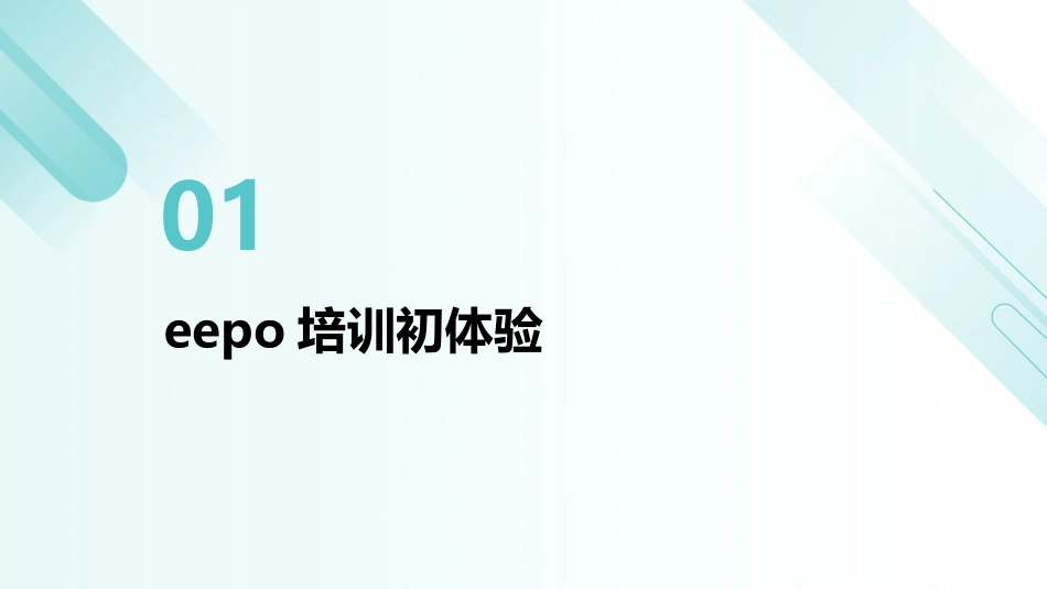 2024年eepo培训：心得与体会的启示 (1)_第3页
