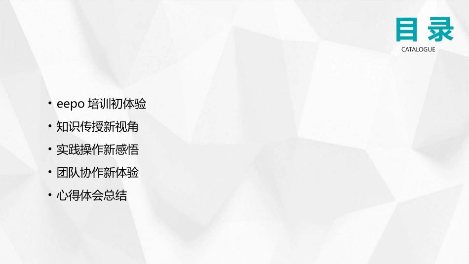 2024年eepo培训：心得与体会的新发现_第2页