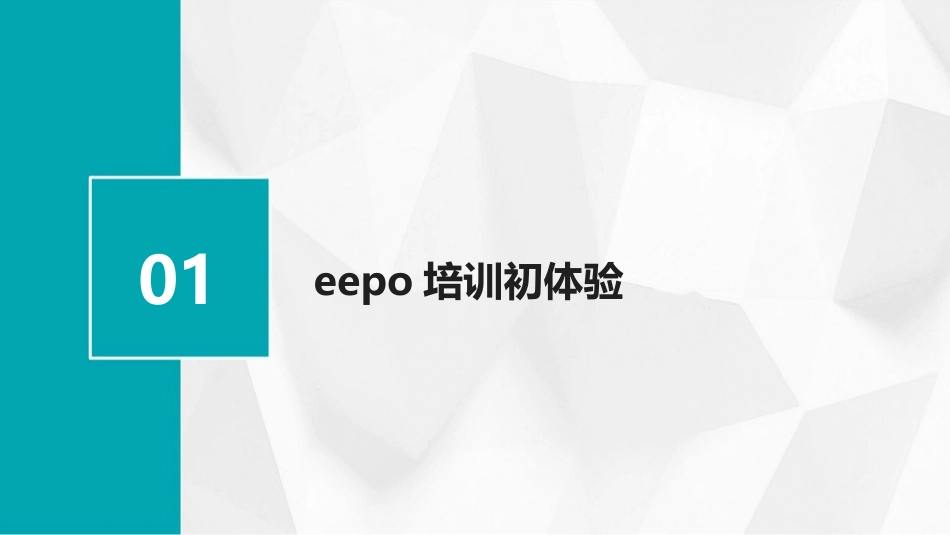 2024年eepo培训：心得与体会的新发现_第3页