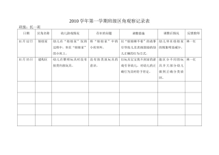 区角观察记录11月一红