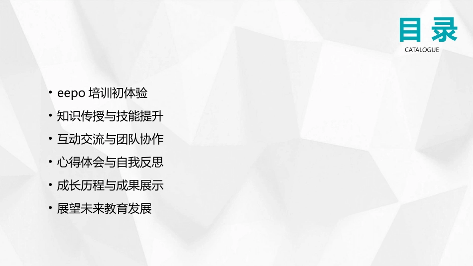 2024年eepo培训：心得体会与成长_第2页