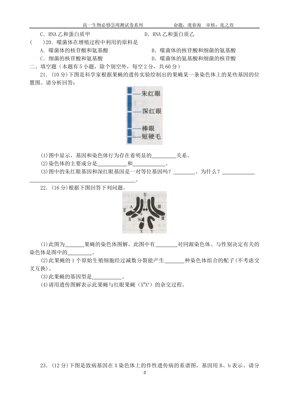 高一生物必修2周测试题（三）47_第3页