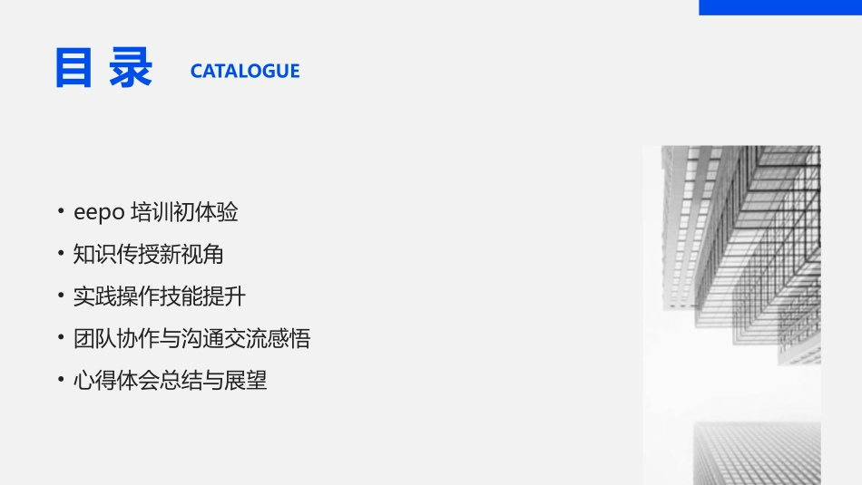 2024年eepo培训：深入心得与体会_第2页