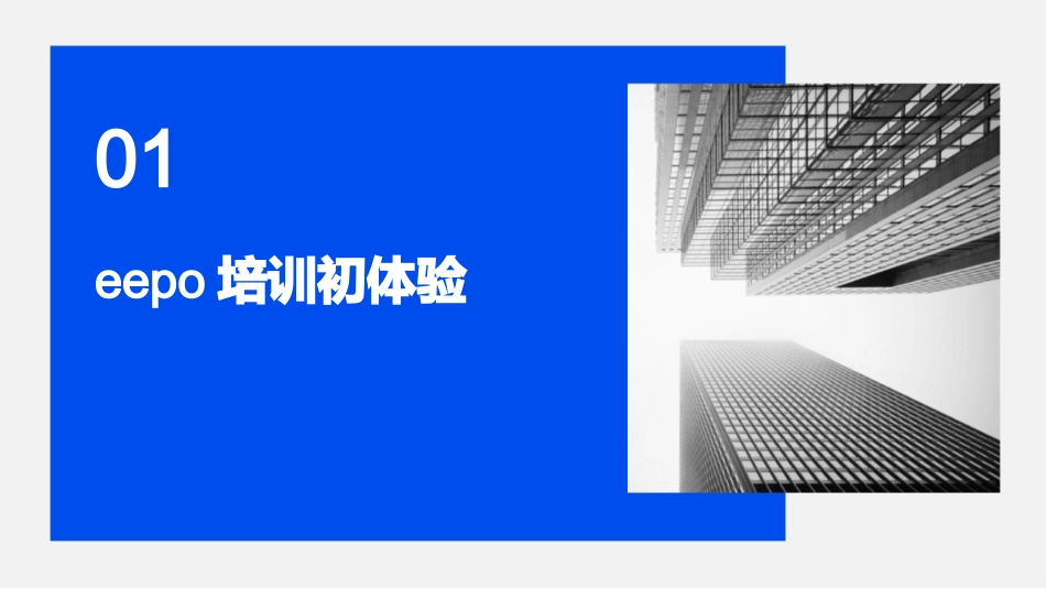 2024年eepo培训：深入心得与体会_第3页