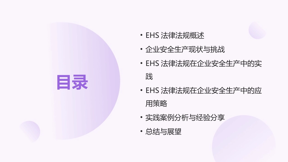 2024年EHS法律法规培训在企业安全生产中的实践与应用_第2页