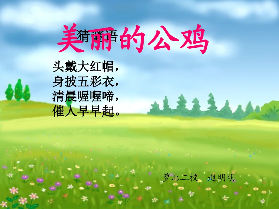 《美丽的公鸡》_第1页