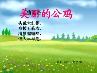 《美丽的公鸡》