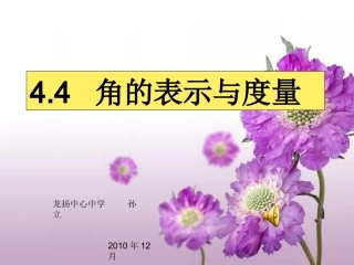 孙立的课件2010年12月