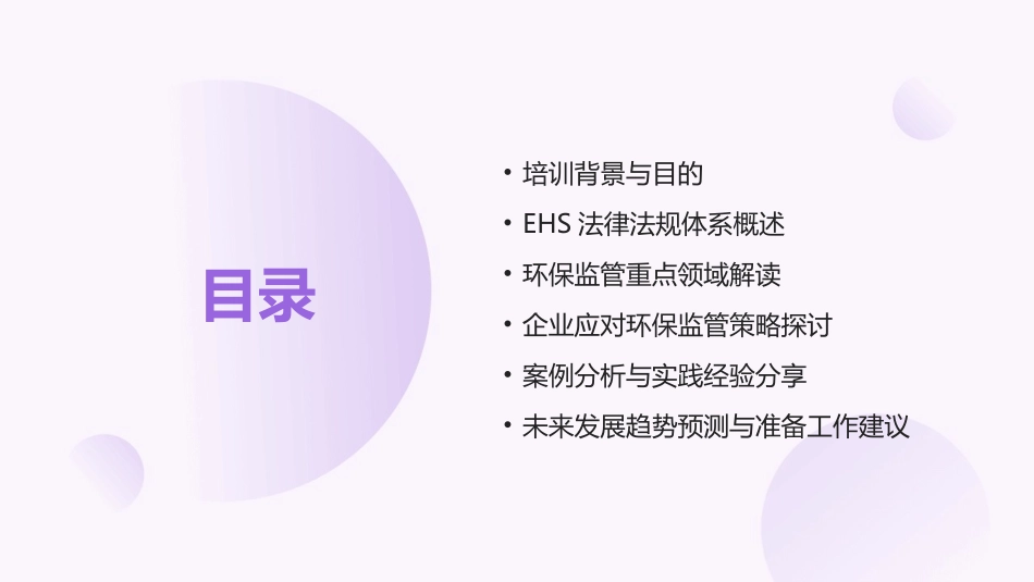 2024年EHS法律法规培训：助力企业应对环保监管_第2页