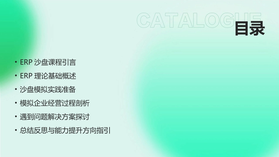 2024年ERP沙盘教案：从理论到实践的桥梁_第2页