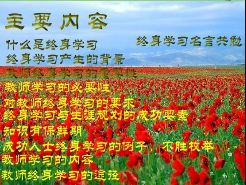 树立终身学习理念促进教师专业发展_第2页