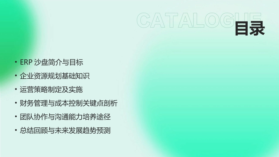 2024年ERP沙盘教案：提升企业运营效率_第2页