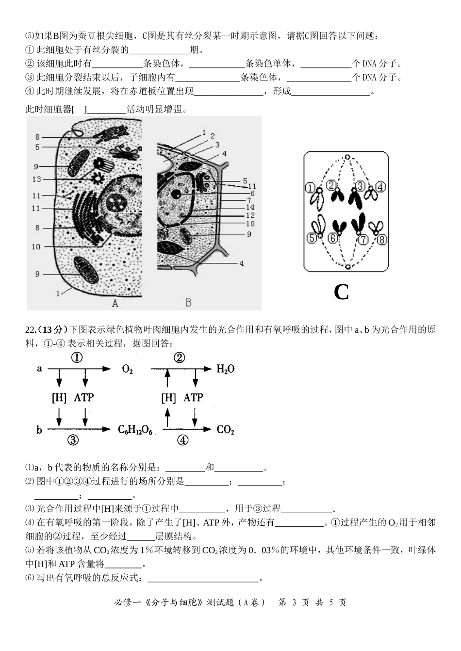 分子与细胞模块检测题（A卷）_第3页