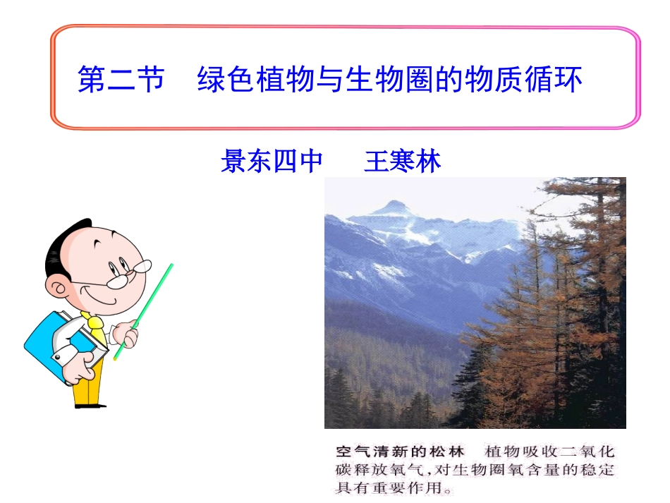 绿色植物与生物圈的物质循环_第3页