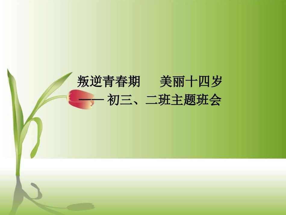 美丽十四岁主题班会_第1页