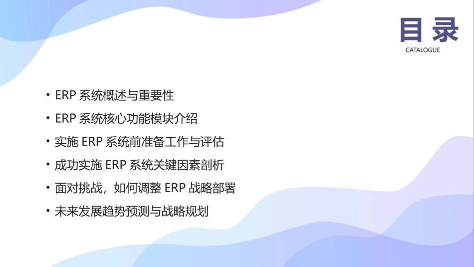 2024年ERP系统培训：提升企业竞争力_第2页