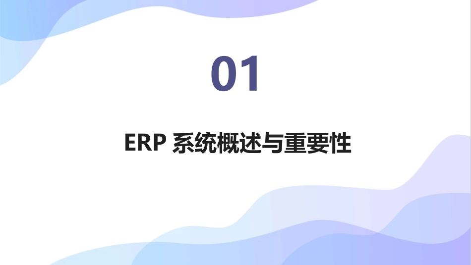 2024年ERP系统培训：提升企业竞争力_第3页