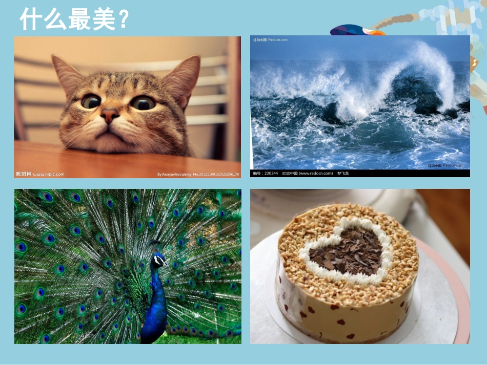 纸品乐淘淘-王亚伦_第2页