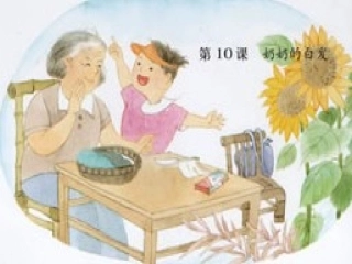 奶奶的白发课件