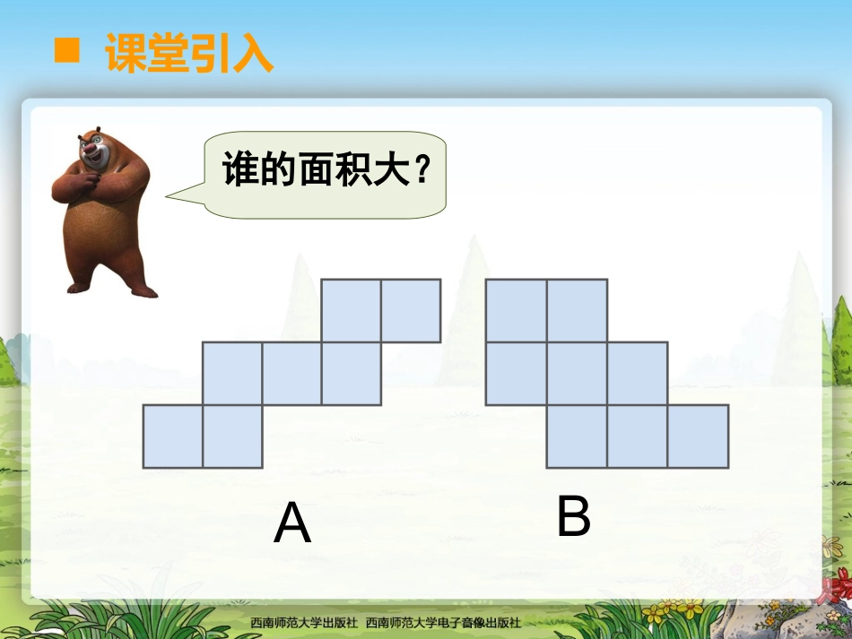 面积与面积单位 (3)_第2页