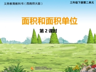 面积与面积单位 (3)