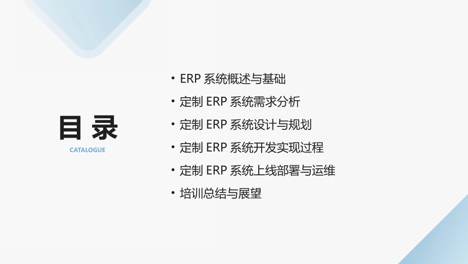 2024年ERP系统定制培训教程_第2页