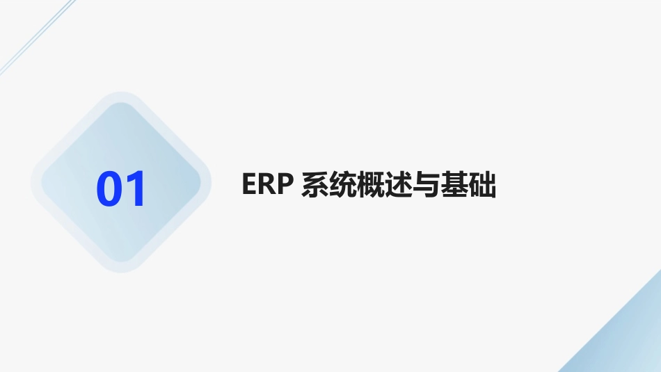 2024年ERP系统定制培训教程_第3页