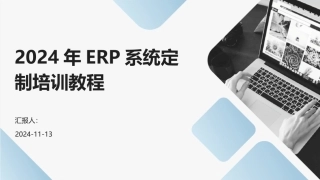 2024年ERP系统定制培训教程